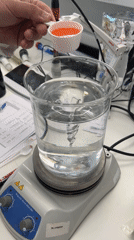 Laboratory experiment documented in Novosaratovka facility
