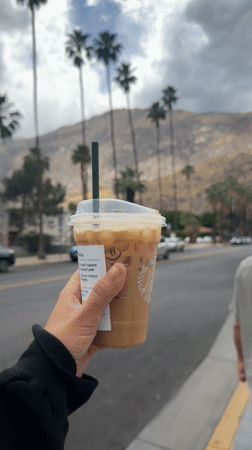 Two men with Great Dane visit Palm Springs restaurant