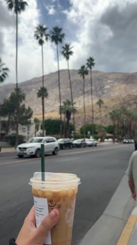 Two men with Great Dane visit Palm Springs restaurant