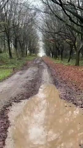 The video shows a muddy path through a forest. The path is covered in puddles and mud, and the trees on either side are bare. A person wearing blue jeans and black rubber boots walks through the mud, splashing water with each step. The camera is positioned at eye level, following the person's movement.