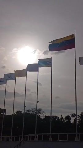 The video shows a row of flags on flagpoles against a partly cloudy sky with a bright sun. The flags on the left appear to be company flags. The flags to the right are the flag of Venezuela, a flag with a light blue stripe on a dark blue field, and another flag of which the color is difficult to discern. The flags are waving in the wind. Trees and a building are visible in the background, suggesting an urban or suburban environment.