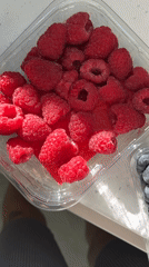 Cyprus resident documents berries, pasta, soccer cleat afternoon