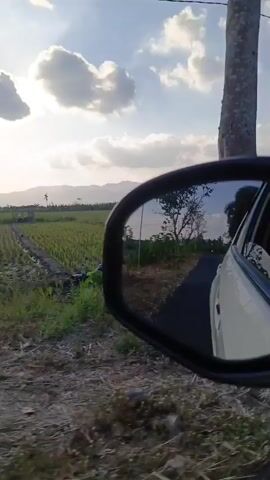This video captures a point-of-view perspective from inside a moving vehicle, looking out the passenger side window and into the side-view mirror. The mirror reflects a scenic rural landscape with green fields, trees, and a distant mountain range under a bright, cloudy sky. The vehicle appears to be traveling on a paved road alongside the fields. The exterior shot shows the side of a white car and the surrounding vegetation. The camera moves slightly, creating a sense of motion.