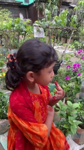 Girl in traditional dress tends garden in Dhaka