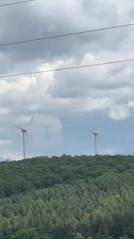 The video pans across a natural landscape with wind turbines visible in the distance. The foreground features lush green trees and bushes, with some thin branches reaching upwards. Power lines are also present, crossing the frame horizontally. The wind turbines, tall white structures with rotating blades, are situated atop a forested hill. The sky is overcast with dramatic, dark clouds, suggesting a possibly stormy or changing weather pattern. The overall mood is serene yet powerful, highlighting the contrast between natural beauty and technological infrastructure. No people are visible in the media. There is no visible text. The scene appears to be an outdoor setting, likely in a rural or semi-rural area, given the presence of both forested hills and wind power generation.