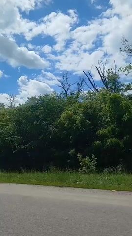 A video taken from a moving vehicle shows a roadside with a paved surface in the foreground. Beyond the road, there is a strip of green grass and then a dense line of green trees and bushes, characteristic of a wooded area. The sky above is blue with scattered white, fluffy clouds. The trees are varied in height and density, with some appearing taller and more mature than others. Sunlight filters through the leaves, creating dappled patterns. The overall impression is of a sunny day in a natural, possibly rural or suburban, environment.