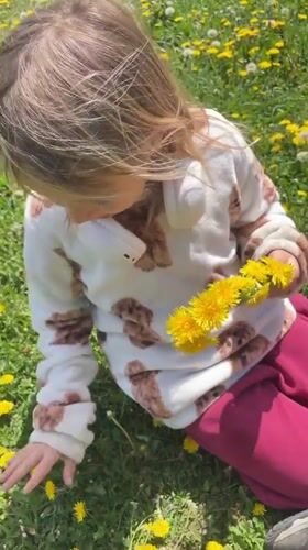 Children gather dandelion bouquets in Montenegro field