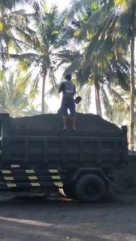 A person stands on top of a pile of dark sand in the bed of a black dump truck. The truck has yellow and black stripes on its side. The person is wearing a t-shirt and shorts and is holding a shovel, which they are using to move the sand. There are palm trees in the background, and the sky is bright. The scene appears to be outdoors, possibly in a tropical or subtropical location. The lighting suggests it is daytime, likely morning or afternoon. The ground around the truck is also covered in sand.