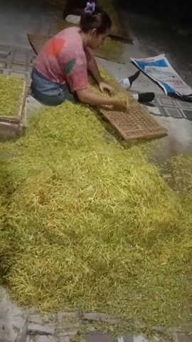 A woman is kneeling on the floor next to a large pile of dried, yellowish-green material. She is wearing a pink t-shirt with a flower design and blue shorts. She is holding a woven tray and appears to be sifting or separating the material. There are other woven trays on the floor, some empty and some with the same material. In the background, there are some bags and what looks like a wall made of brick. The floor is concrete. The lighting is dim, suggesting it might be indoors or nighttime.