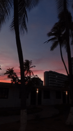 Twilight scene with palm trees captured in Porlamar, Venezuela