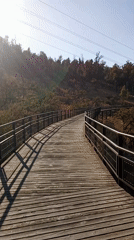 Wooden footbridge observed on Vitacura hiking trail under clear skies