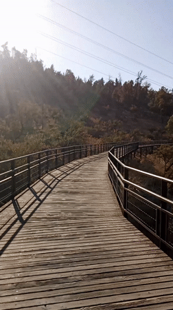 Wooden footbridge observed on Vitacura hiking trail under clear skies