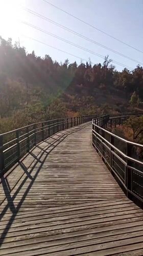 Wooden footbridge observed on Vitacura hiking trail under clear skies