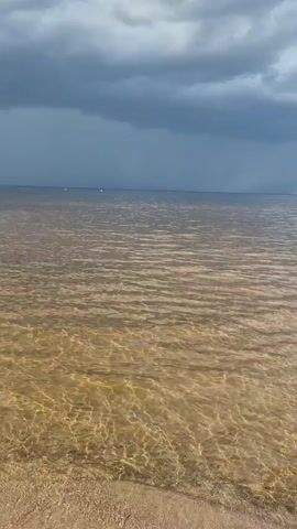The video opens with a view of a body of water with choppy, light-colored waves. The sky above is overcast with dark clouds. As the video progresses, the clouds begin to break up, revealing patches of blue sky and fluffy white clouds. A light-colored object, possibly a dog, is seen swimming in the water. The camera pans to the right, revealing a sandy beach with a line of trees in the distance. The water appears calm and shallow near the shore, with sunlight reflecting off the sandy bottom. The scene suggests a transition from a stormy sky to a sunny day at the beach.