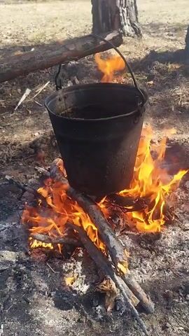 A black metal bucket hangs over a small campfire in a wooded area. The bucket is filled with a dark substance. The fire is burning brightly, with flames surrounding the bottom of the bucket. Several fallen branches are visible, fueling the fire. The ground is covered with ash, pine needles, and scattered debris. A tree trunk is visible in the background.