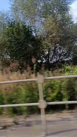 This video shows a view from a moving vehicle, possibly a train or car, looking out a window. The foreground features a white railing with round posts. Beyond the railing is overgrown vegetation, including tall grasses and bushes. In the mid-ground, houses and trees are visible. The sky is blue with scattered white clouds. The camera is capturing a panning shot of the landscape as the vehicle travels.