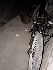 Nighttime bicycle, coconuts, and cigarette scenes documented in Indonesia