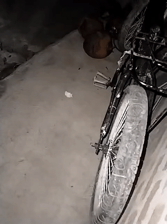 Nighttime bicycle, coconuts, and cigarette scenes documented in Indonesia