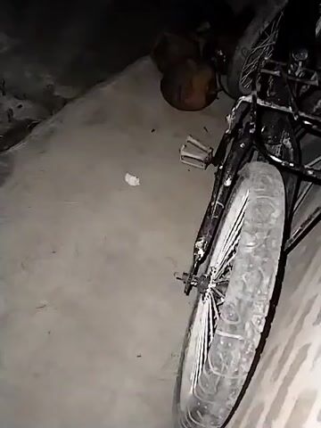 The video shows a bicycle, mostly black, standing in what appears to be a dimly lit storage area. The camera focuses on the back wheel, pedal, and cargo rack. There are several brown, round objects in the background, possibly coconuts, near a second, indistinct wheel. The environment appears to be enclosed with concrete walls and floor.