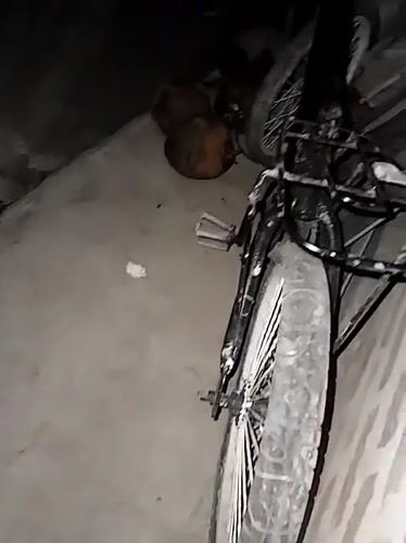 Nighttime bicycle, coconuts, and cigarette scenes documented in Indonesia