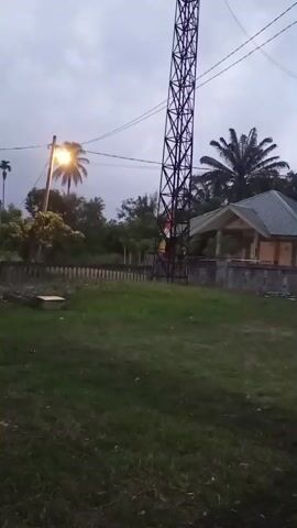 A tall, black metal tower stands in the center of the frame. A street lamp with a bright yellow light is on the left side of the frame, illuminating a palm tree and some bushes. The sky is overcast and gray. In the background, there is a small building with a green roof and a wall. There is also a fence in the foreground, separating the grassy area from a more wooded area. The grass is green and appears to be well-maintained. The overall impression of the scene is one of rural tranquility.