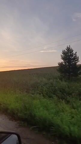 The video shows a view from inside a moving vehicle. The camera is pointed out of the driver's side window towards the right. The road ahead is a dirt or gravel road with a puddle of water on the left side. To the right of the road is a field of green vegetation, possibly crops or tall grass. In the distance, there is a line of trees and a power line stretches across the sky. The sun is setting on the left side of the frame, casting an orange glow and silhouetting some of the trees. The sky is a soft gradient of pink and orange, with some wispy clouds.