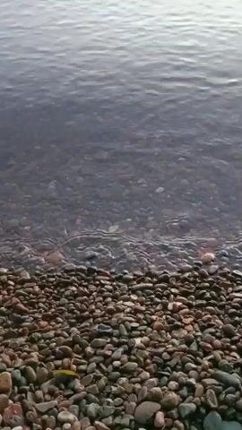 The video shows a shoreline with small, smooth rocks. The water is calm and clear, allowing some of the rocks beneath the surface to be visible. The lighting suggests it might be overcast or late in the day.