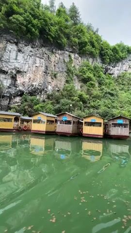 The video shows several identical yellow-painted boathouses lined up on a body of water. They all have a small room or cabin on top of the boat. The water is a light green color and reflects the boathouses and the sky.  Behind the boathouses is a large, sheer cliff face with a dense covering of green trees and shrubs. A small gazebo or structure is visible to the left of the boathouses. The sky is overcast.