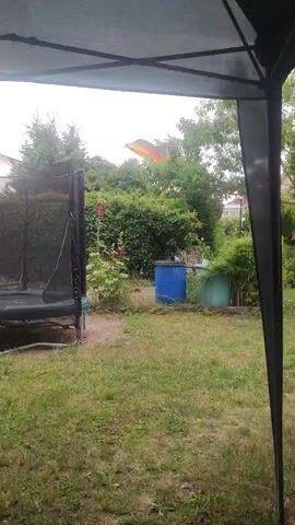 The video shows a backyard scene in Liebenburg, Germany. A trampoline is visible on the left side, and a blue barrel and a green container are in the middle of the yard. Behind these objects, there is lush greenery, including hedges and trees. A German flag is flying from a pole, partially obscured by the trees. The sky appears overcast, suggesting a cloudy day. The overall atmosphere is peaceful and domestic, with the focus on the outdoor space. There is no visible text in the video.