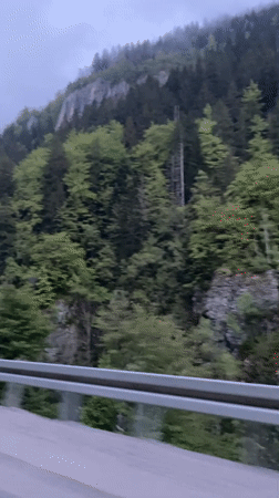 Vehicle travels through foggy forested hills in Montenegro