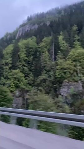 The video shows a view from a moving vehicle along a roadside. Dense green forest covers the steep hillside beside the road. Rock formations are visible among the trees. The sky is overcast with fog partially obscuring the upper parts of the mountain. A grey metal guardrail is in the foreground, and the asphalt road is partially visible below it. The video appears to be taken during the day, though the light is muted due to the heavy cloud cover.