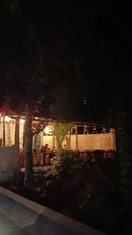 The video pans across a dimly lit scene at night, likely in Rancamaya, Indonesia. The primary subject is a rustic, open-air structure with a thatched roof, decorated with numerous string lights that cast a warm glow. The walls appear to be made of woven materials, adding to the natural, tropical ambiance.

In front of this structure, a palm tree with large fronds is visible, its trunk illuminated by the ambient light. A red and white striped pole or barrier is also present, suggesting a boundary or a decorative element. The ground is paved and appears slightly wet in some areas, hinting at recent rain or humidity.

The overall atmosphere is festive and inviting, due to the twinkling lights and the tropical setting. The time of day is clearly night. There are no people clearly visible, but the setup suggests a place of gathering or a small establishment, possibly a restaurant or a relaxation spot. The surrounding area is dark and filled with foliage, typical of a tropical environment at night. No discernible text is visible in the video.