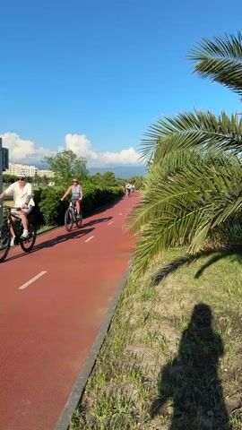 A group of people are riding bicycles on a red paved bike path. The path has white dashed lines marking the lanes. On the left side of the path is a green hedge and some trees. On the right side of the path are palm trees and grass. The sky is blue with some white clouds. In the background, there are some buildings and mountains. The sun is shining, casting shadows on the path. One person is in the foreground, riding a bicycle and wearing a gray tank top and gray shorts. Another person is behind them, also on a bicycle. Further down the path, there are more people riding bicycles. The shadow of the person filming the video is visible on the right side of the path.