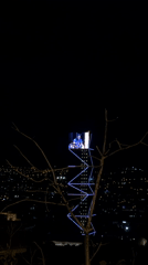 Nighttime scenes captured on Tbilisi's Rustaveli Avenue