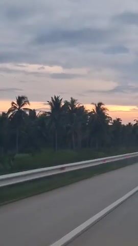 The video shows a highway at dusk. The road is paved and has white lines marking the lanes. On the left side of the road, there is a metal guardrail with orange reflectors. Beyond the guardrail, there are palm trees and other vegetation. The sky is cloudy with the sun setting in the distance, casting a warm glow. The camera appears to be moving, suggesting the video was filmed from a vehicle.
