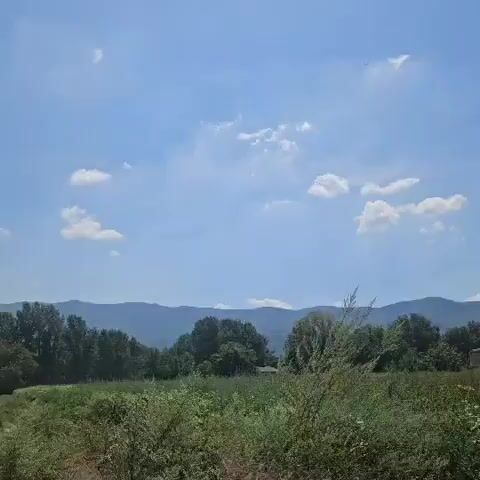 This is a panning video of a landscape under a bright blue sky with scattered clouds. The foreground is filled with green vegetation and tall grasses. In the middle ground, there are several trees, a field, a telephone pole, and a building. In the background, rolling hills or mountains are visible. The video pans from left to right, offering a continuous view of the scene.