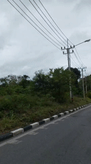 Ko Samui's jungle coast and roadside scenes on an overcast morning