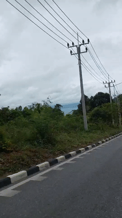 Ko Samui's jungle coast and roadside scenes on an overcast morning