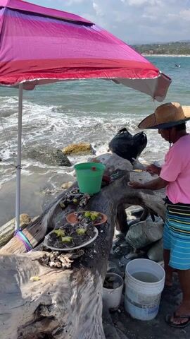 A man shucks oysters on a driftwood table on a rocky beach, under a pink and purple umbrella. The man wears a straw hat, pink t-shirt and blue striped swim trunks. He uses a tool to open the oysters on the driftwood table which is also covered with black oyster shells, plates of opened oysters garnished with lemon wedges, a green bucket, and other tools. Ocean waves crash around rocks near the shore in the background. A white bucket is nearby on the sand. The video is shot at eye-level, from a slight distance away.