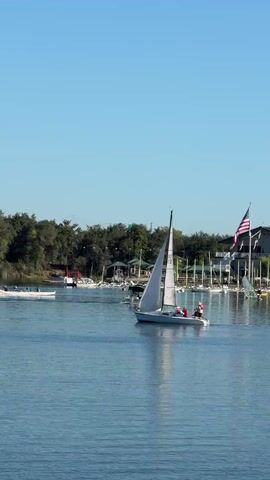 A medium shot captures a sunny day on a body of water. In the foreground, a sailboat with a white sail and a black hull is sailing from right to left. Two people are visible on the boat. To the left of the sailboat, a long white boat with multiple people rowing is also moving across the water. In the background, trees line the shore, and a marina with several docked boats is visible. An American flag flies on a pole near the marina. The sky is clear and blue, with a small object, possibly a drone or bird, visible in the upper right corner. The water is calm and reflects the sky and the boats.