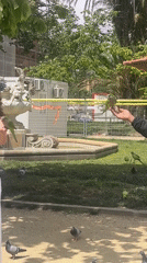 Park visitors interact with parrots at Barcelona's Ciutadella