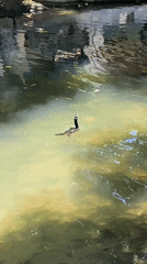 Afternoon scenes of exercise, wildlife and urban life in Higuerote