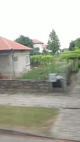 The video shows a view from a moving vehicle, likely a car or bus, capturing a street scene with houses and vegetation. The houses appear to be single-story structures with tiled roofs and simple facades. Some have fences and gates in front. Trees and green foliage are abundant, suggesting a rural or suburban setting. The weather seems overcast. There are no people visible in the frames, and no specific actions or interactions are captured. The video is short, with each frame lasting approximately one second, and the motion blur indicates the continuous movement of the camera.
