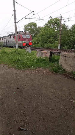 Electric locomotive passes blooming lilacs in rural Artyom, Russia