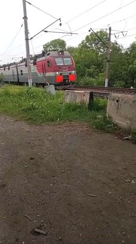 Electric locomotive passes blooming lilacs in rural Artyom, Russia