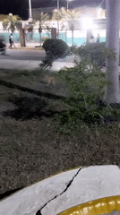 Nighttime documentation shows cracked concrete infrastructure in Tinaquillo