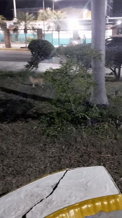 Nighttime documentation shows cracked concrete infrastructure in Tinaquillo
