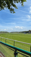 Crowds gather for daytime horse racing event
