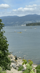 Person walks dog along Vancouver waterfront amid mountain scenery