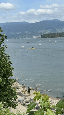 Person walks dog along Vancouver waterfront amid mountain scenery